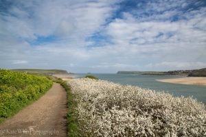 The path to Tregirls from Padstow