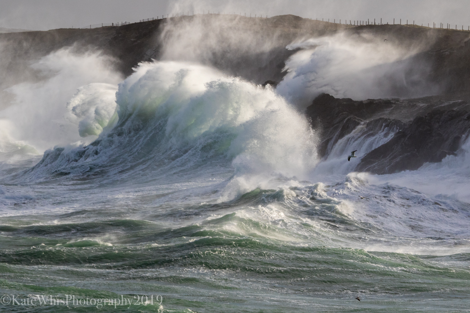 big wave at Mother Ivey's 