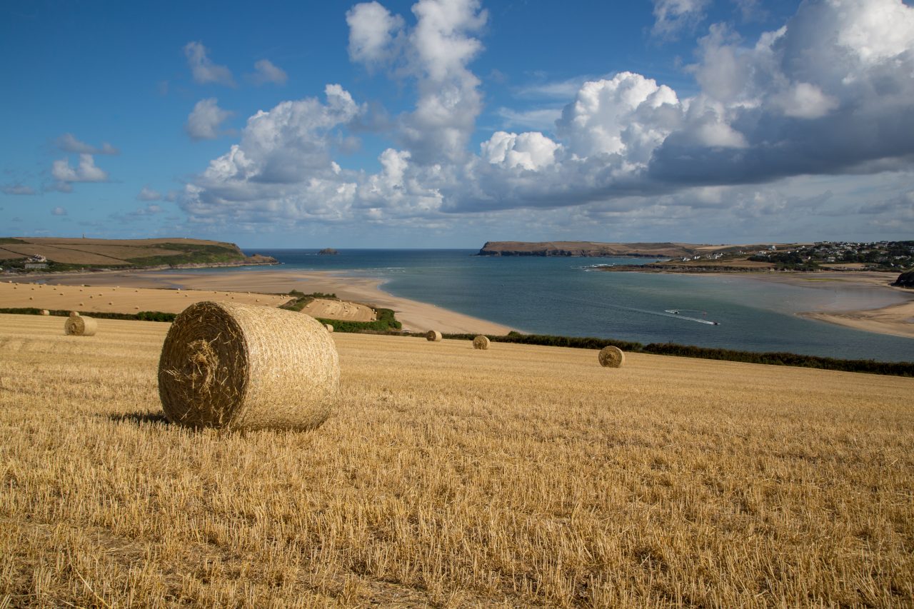 harvest time overlooking the Camel Estuary