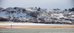 Horses riding on Rock beach in the snow
