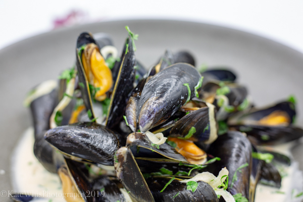 close up of a bowl of mussels