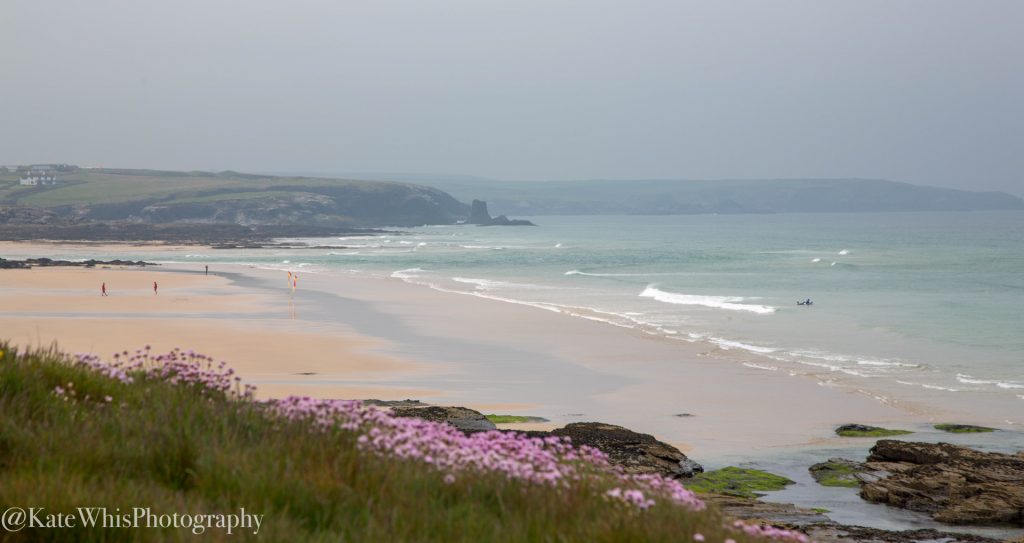view across Booby's Bay with seapinks in the foreground