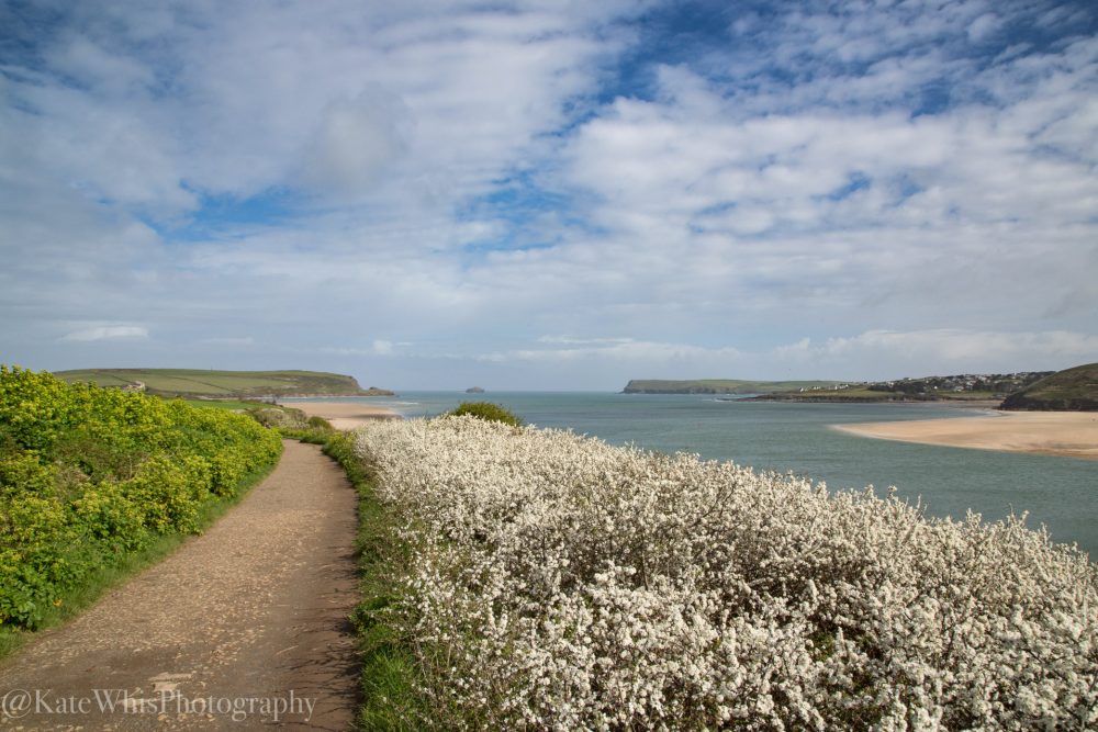 View of the Camel Estuary, Padstow