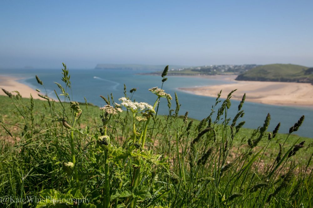View of the Camel Estuary, Padstow