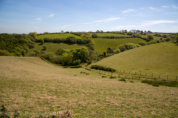view across the fields